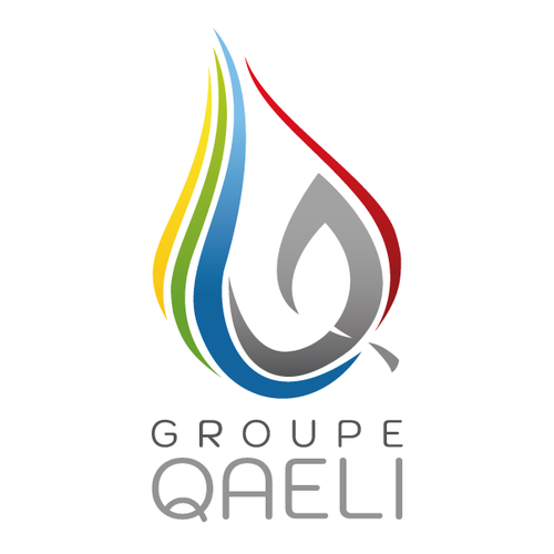 logo-GROUPE-QAELI-fond-blanc-300-carre-lorflam.png