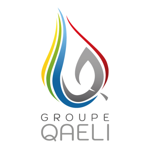logo-groupe-qaeli-fond-blanc-300-carre-lorflam.png