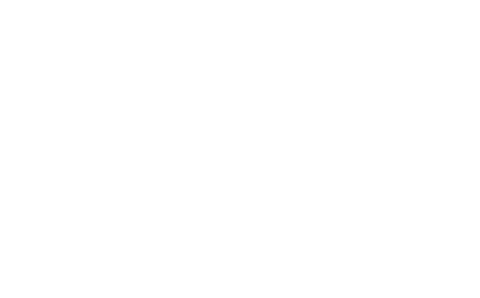 Central Double Sided Fireplaces